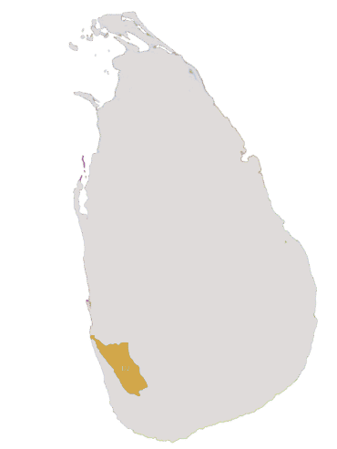 District 306 D2 Map