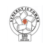 2008/09 term logo